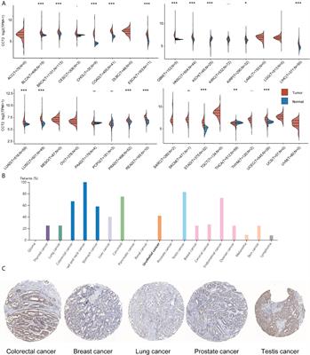 Comprehensive prognostic and immunological analysis of CCT2 in pan-cancer